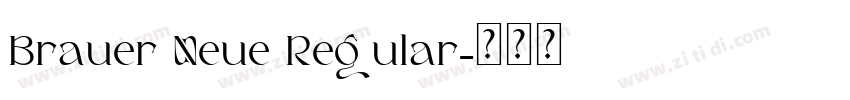 Brauer Neue Regular字体转换